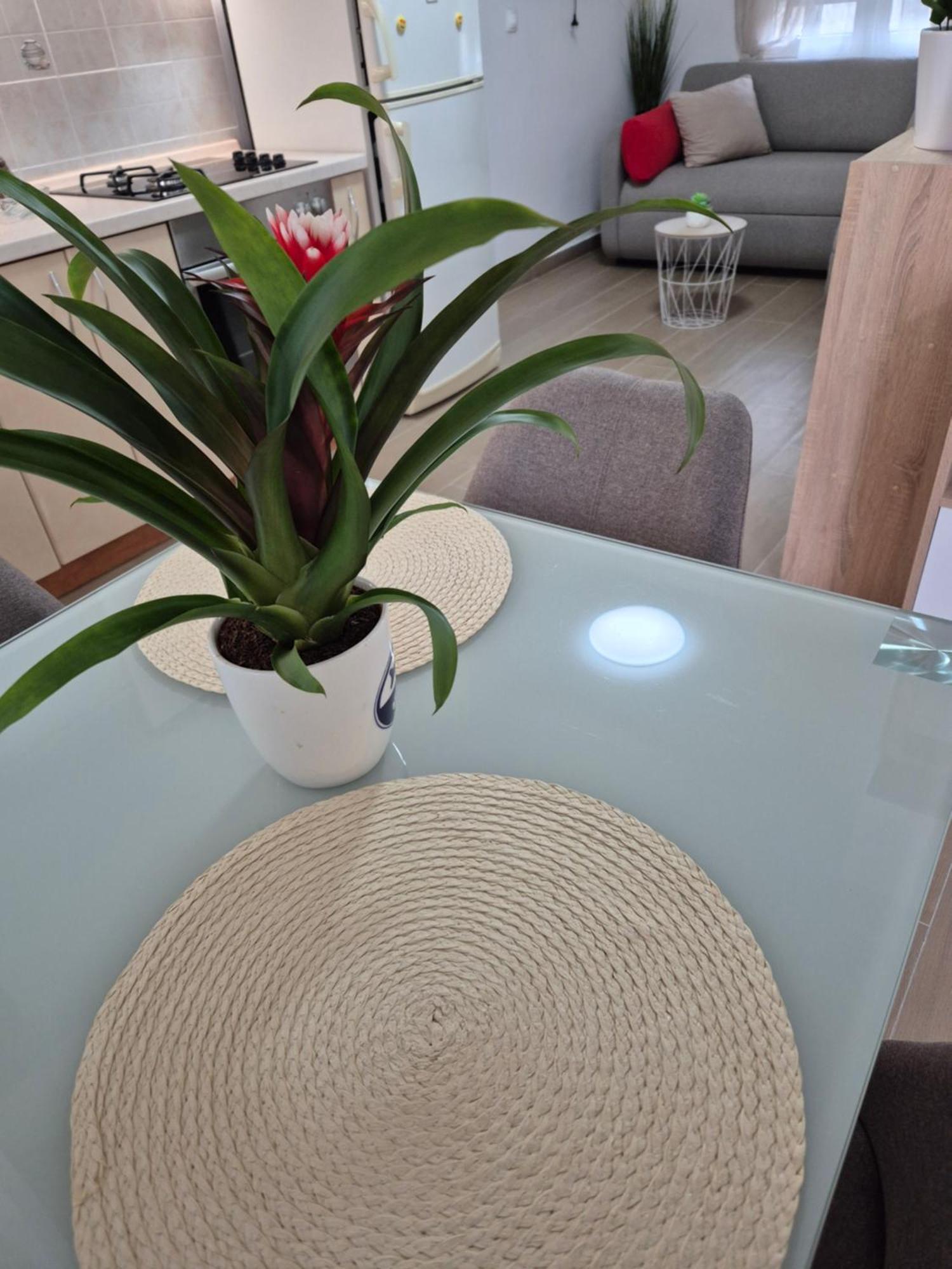Apartments Duje Split Bilik gambar